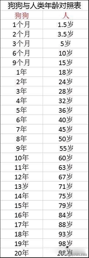 狗狗安乐死多少钱一针 狗狗安乐死的真实案例全过程
