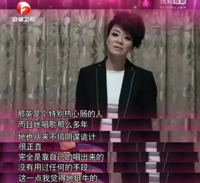 那英个人资料简介及经典歌曲 那英刀郎的事情(歧视农民)