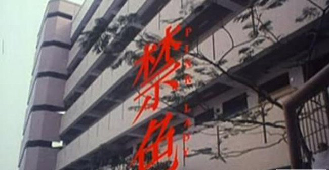 李美琪个人资料简介 演赤裸特工而成为国际影星