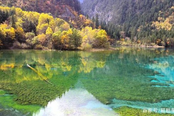 南京旅游必去十大景点推荐 南京一天一日游去哪里最好