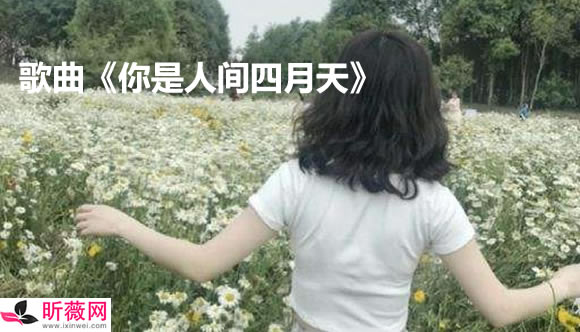 十大网红歌曲 免费在线听:十大抖音最火的歌曲名单