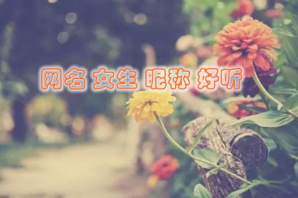 �����ǳ�Ů�������� �������ǳ�Ů������ʮ��