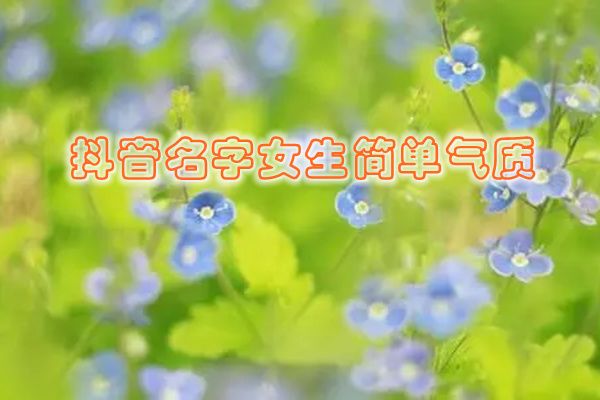 �����ǳ�Ů�������� �������ǳ�Ů������ʮ��