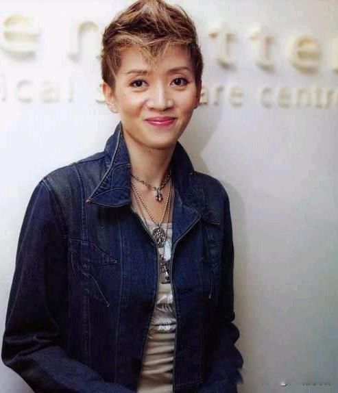 梅艳芳简介和个人资料 最后一场演唱会穿尿不湿倒在刘德华怀中