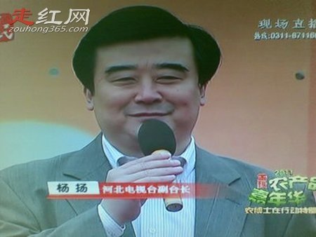 方琼老公杨阳个人简历简介 河北电视台的总监是大腕级人物