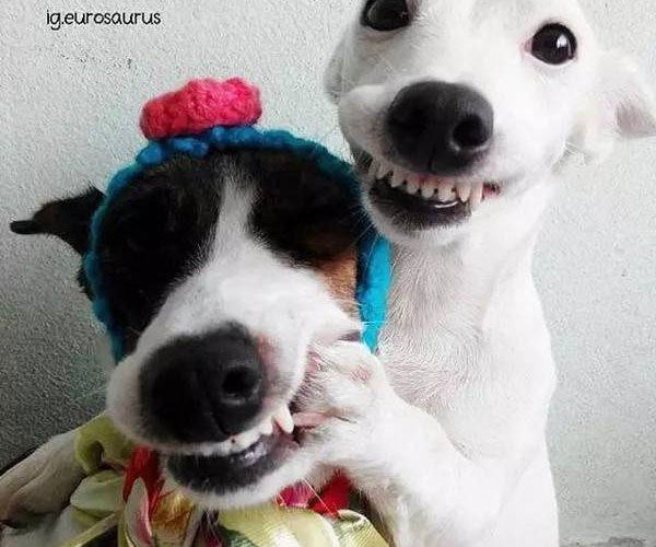 ������,�տ�ָ,΢Ц��,�������������ĺ��� ͼƬP��һ������Ӿ�����