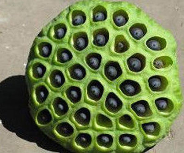 ������,�տ�ָ,΢Ц��,�������������ĺ��� ͼƬP��һ������Ӿ�����