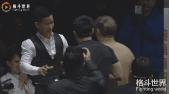 中华虎杨建平死亡 杨建平拳击死亡事件真的吗