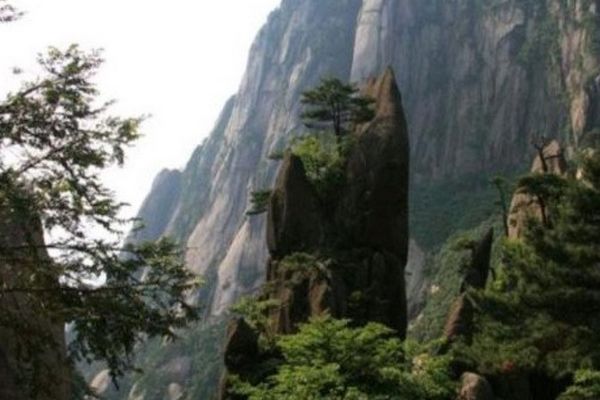 �������Ŀ����й��Ĺ����� Сѧ���Ŀ�������:����������ֲ�һҳ