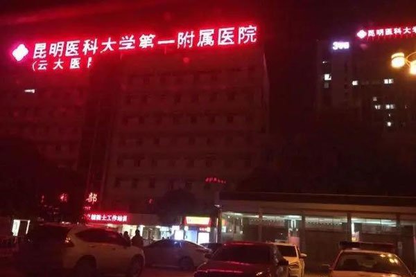 腿腿陈翔六点半意外身亡 演员腿腿个人信息资料