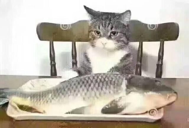 ��󾭼�ʦ����ƽ��� ����ƽ�����¹۵��Ǹ�ʲô��