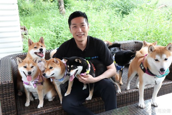 马浚伟老婆资料简介 香港TVB马浚伟马浚伟结婚了吗
