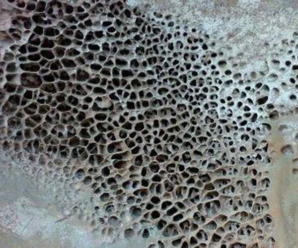 十宗罪玉米男孩原图恐怖 背部密密麻麻的小洞用手指扣虫子