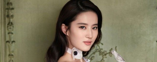 刘亦菲个人资料介绍 刘亦菲为什么不姓父姓