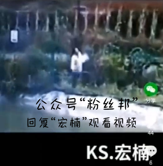 段宏楠个人简历资料简介 触电真相:段宏楠是怎么回事