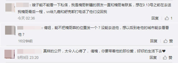 段宏楠个人简历资料简介 触电真相:段宏楠是怎么回事