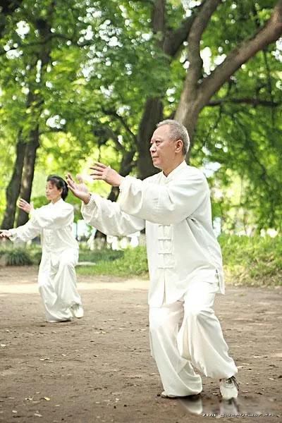 他强任他强,清风拂山岗,他横由他横,明月照大江解释意思 九阳真经口诀的理解