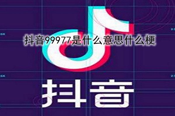 99977ִʲô˼ ·99977þż