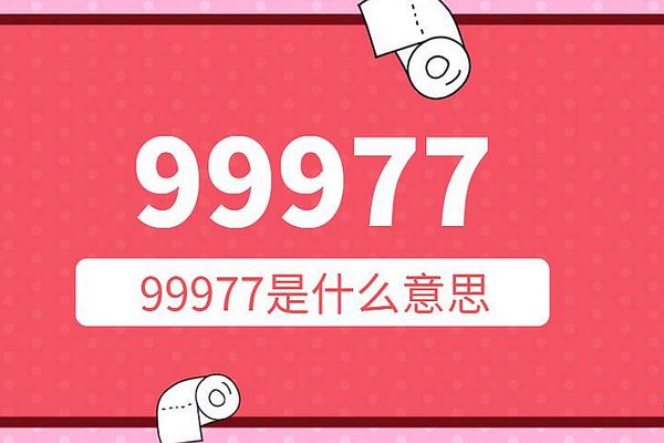99977ִʲô˼ ·99977þż