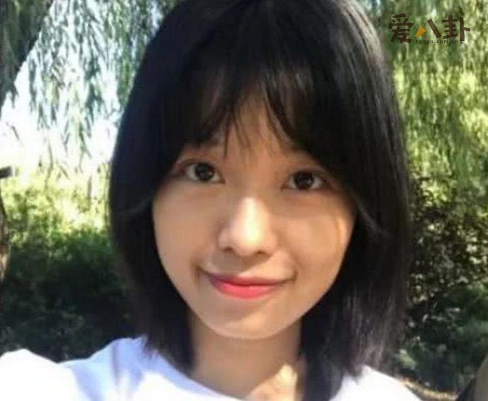 朱军弦子案事件始末是怎么回事 毁掉事件:朱军案弦子的真实姓名叫什么