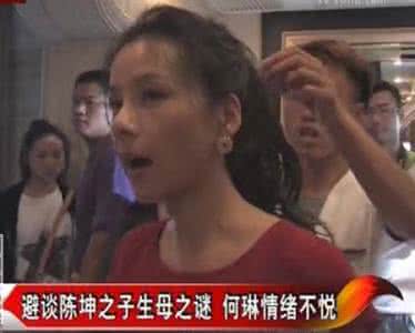 何琳和陈坤是什么关系 优优的母亲?何琳为什么这么恨陈坤