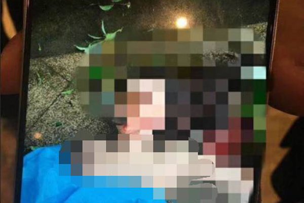 任娇在苏州的什么酒店掉下来的真相 全裸坠亡案:是从杨旭文房间跳下来的吗