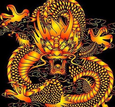 为什么国家不公布龙 隐藏龙的存在:中国不公开发现龙