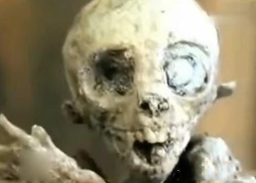 七大外星人图片 有关外星人的事件真实报道