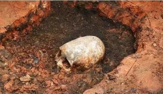 七大外星人图片 有关外星人的事件真实报道