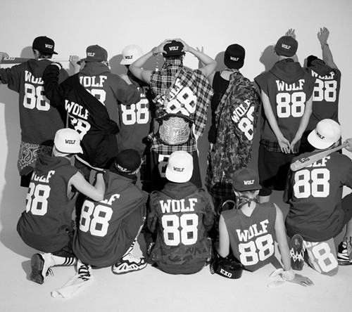 exo��Ա���ϼ��12�� �ֳ�EXO-K��EXO-M��С��