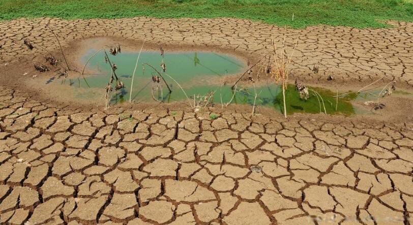 汶川地震前兆的怪事太多了 汶川地震前一个星期预兆