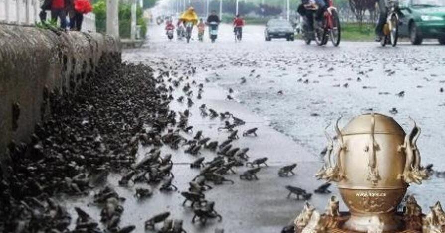 汶川地震前兆的怪事太多了 汶川地震前一个星期预兆
