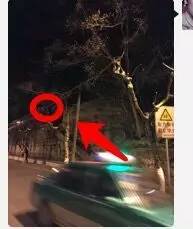 千岛湖事件真正凶手是谁 幕后黑手被抓真相揭秘