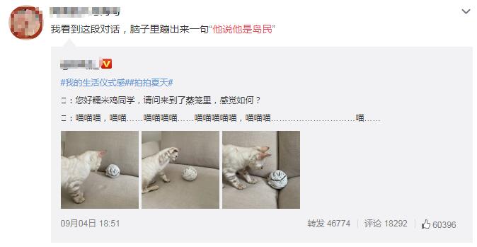 魏晨岛民是什么意思 为撒贝宁的印第安语做翻译