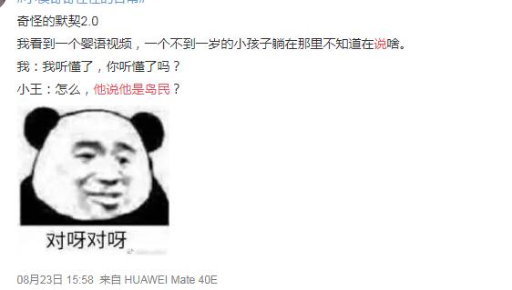 魏晨岛民是什么意思 为撒贝宁的印第安语做翻译