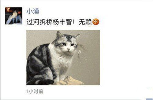���羺С������ֱ�� �˳�ֱ����lolС��Ϊʲô��ʧ��