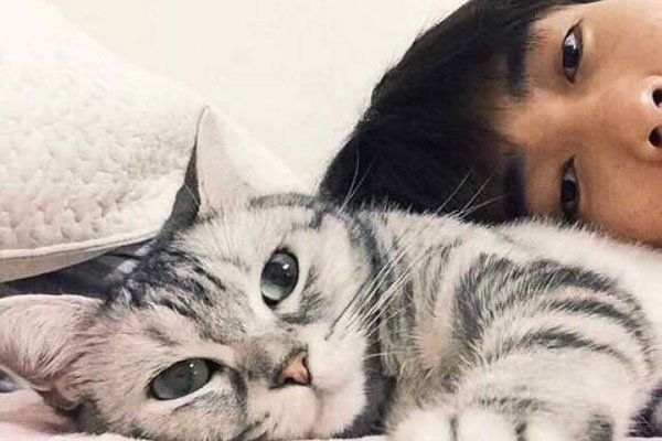 男人养猫是因为生理需求吗 喜欢猫的男人很危险不要交往