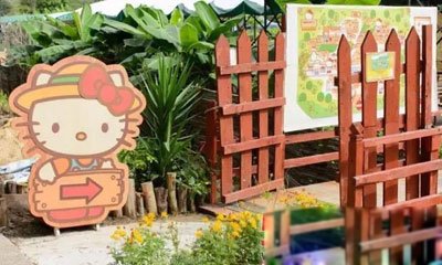 hello kitty�ֲ����� �ձ��Ĺ��£�Ϊʲôû����͵�����