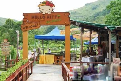 hello kitty�ֲ����� �ձ��Ĺ��£�Ϊʲôû����͵�����
