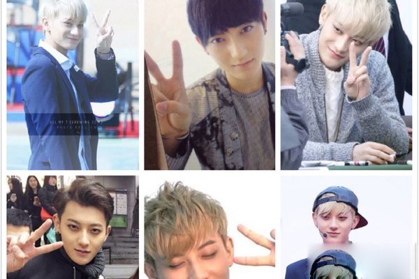 �����Ϊʲô�˳�exo ����ԭ��һֱ���²�