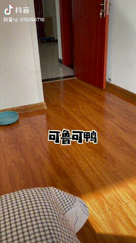 可鲁可鸭是什么意思 喵可酱照片:可鲁可鸭主人长什么样