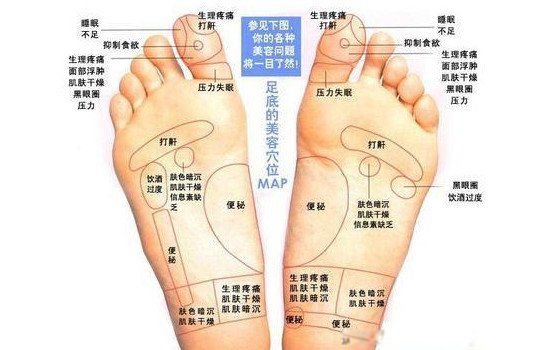 脚的部位名称图和图片 结构图:脚的穴位对应身体哪个部位