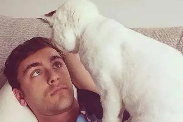养猫的男生是个什么样的人 男人养猫是为了解决性会跟猫做吗