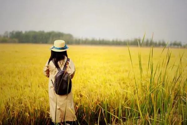 Ů��˵���з��ʾʲô��˼ �����㣺Ů��˵����з�İ�����