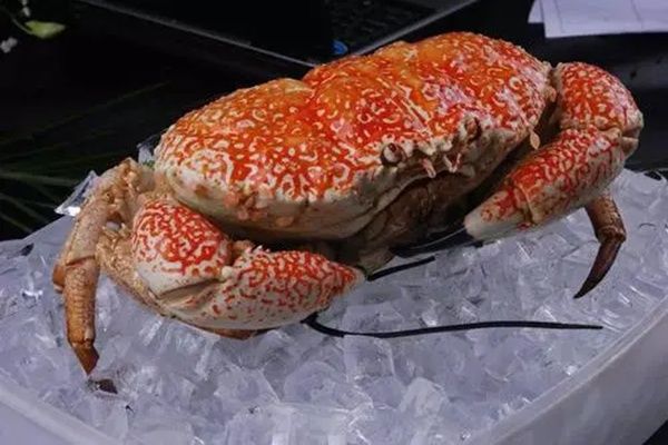 Ů��˵���з��ʾʲô��˼ �����㣺Ů��˵����з�İ�����