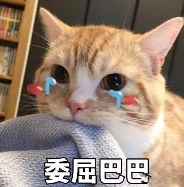 分手后经常换头像的女生是什么心理 情绪不稳定期容易被乘虚而入