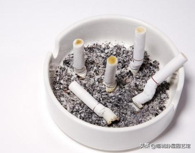烟灰缸里为什么不能倒水 没烟屁股抽:烟灰缸里倒水对老婆不好吗