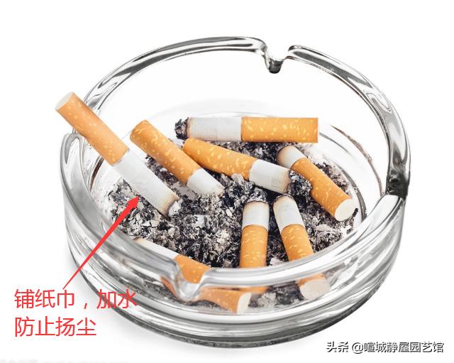 烟灰缸里为什么不能倒水 没烟屁股抽:烟灰缸里倒水对老婆不好吗
