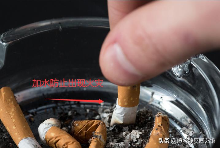烟灰缸里为什么不能倒水 没烟屁股抽:烟灰缸里倒水对老婆不好吗