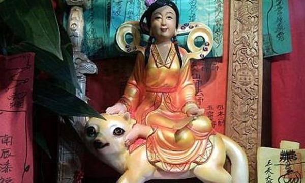 �ɼ����������ʲô ��ô���ɼ����㹵ͨ